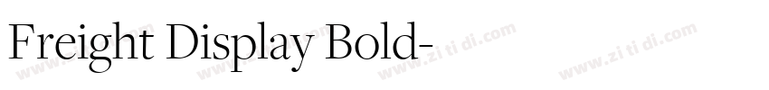 Freight Display Bold字体转换